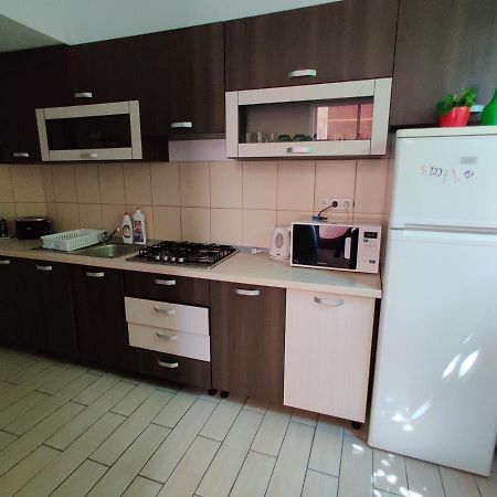 Satu Mare Apartments エクステリア 写真