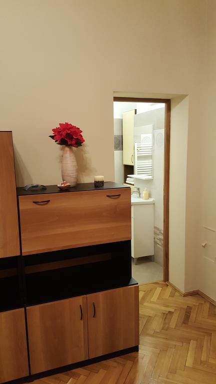 Satu Mare Apartments エクステリア 写真